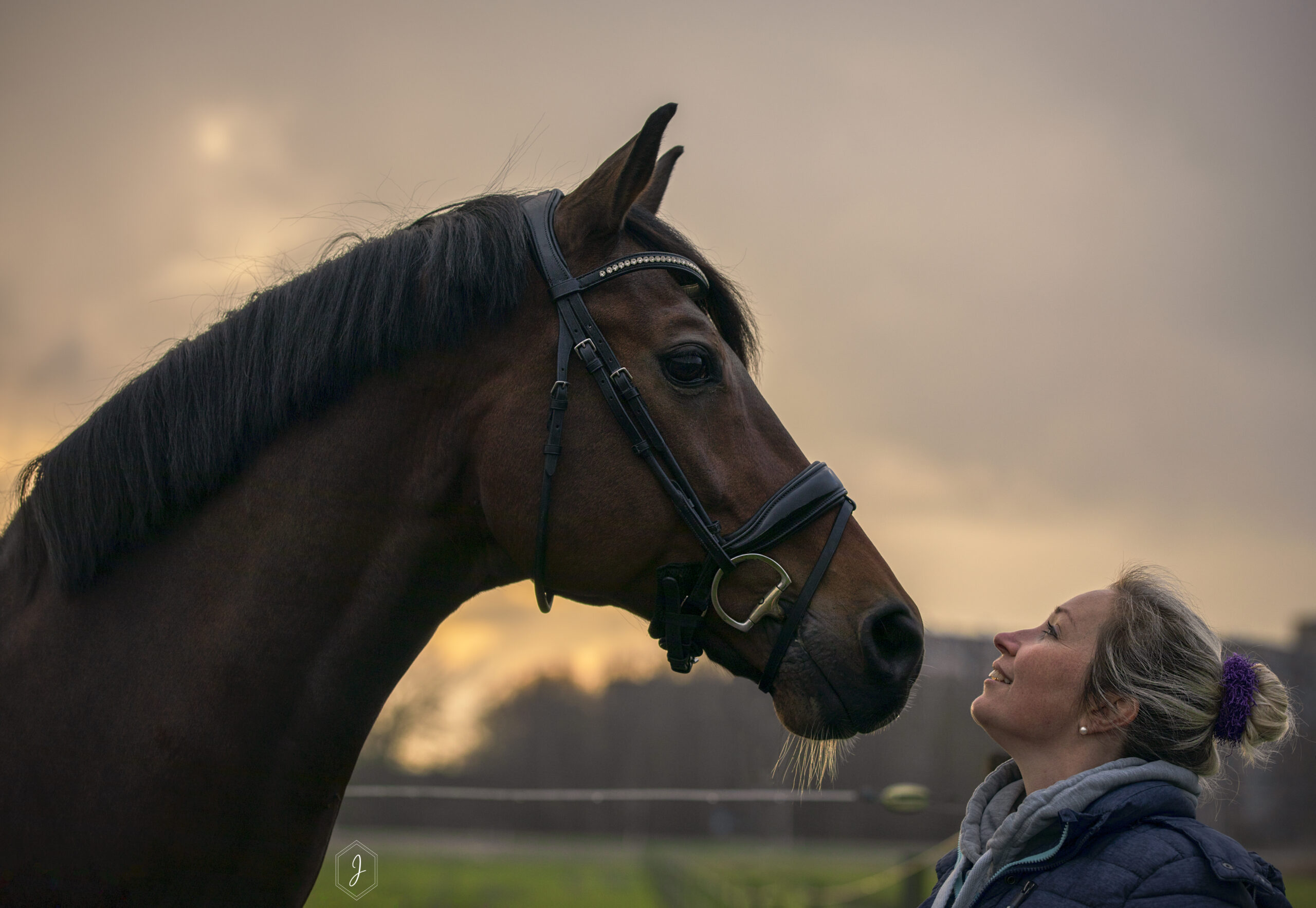 Jasmine van Westerloo paardenfotografie